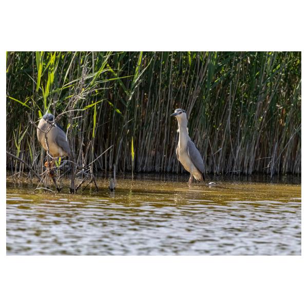 PHOTO84, CLUB, 84 , LUBERON